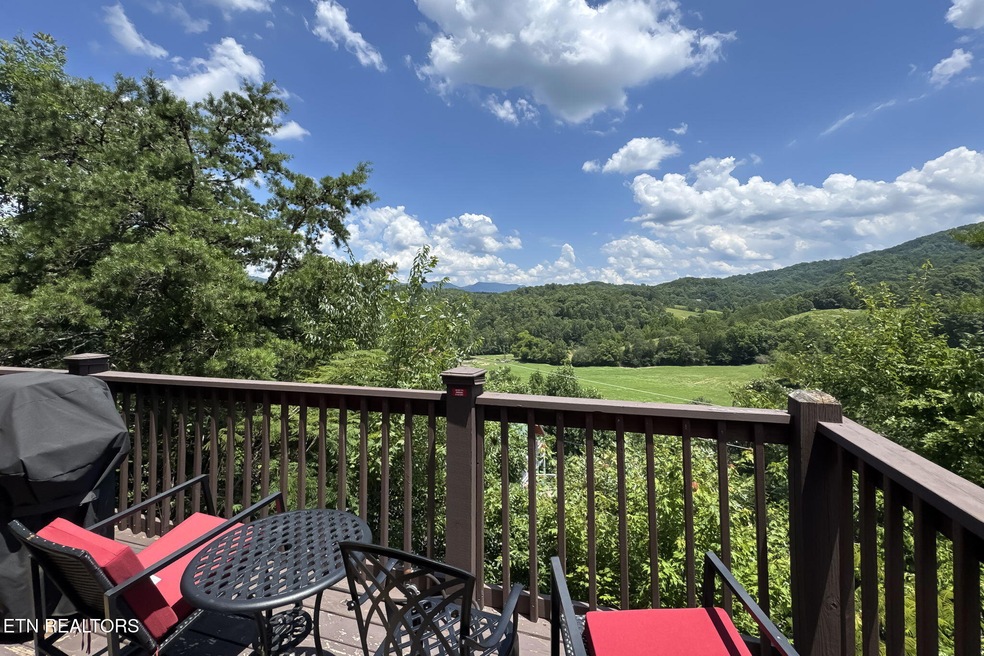 1482 Red Cedar Way Ln, Sevierville, TN 37876 - photo 1