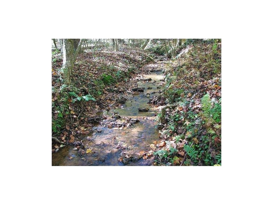 0 Hwy 19 N unit 5859189, Dahlonega, GA 30533 - photo 1