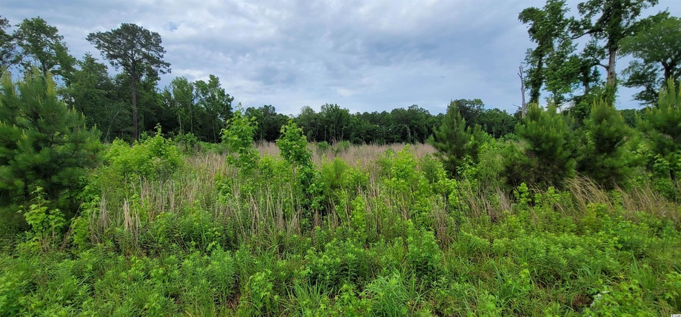 7400 Pauley Swamp Rd, Conway, SC 29527 - photo 1