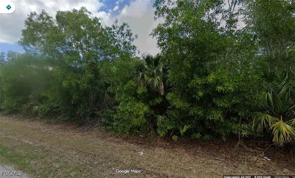 524 45th Ave NE, Naples, FL 34120 - photo 1