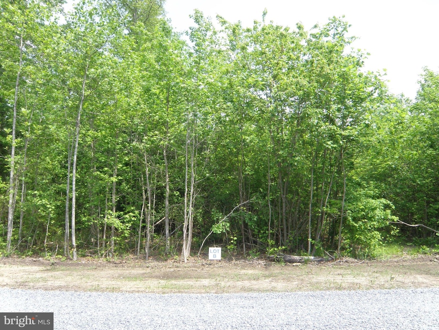 Lot B Easement Off of Shortly Rd, Georgetown, DE 19947 - photo 1