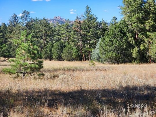 Cool Outcropping view from meadow