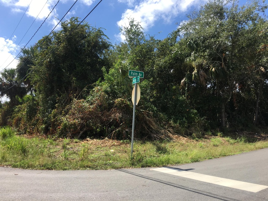 0000 Palm Ave.