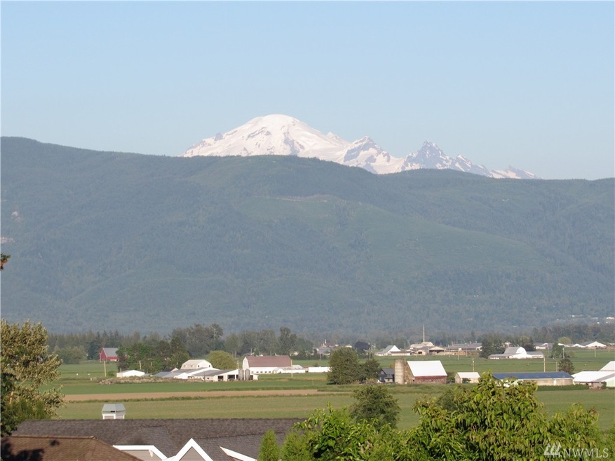 1010 E Grover St, Lynden, WA 98264 - photo 1