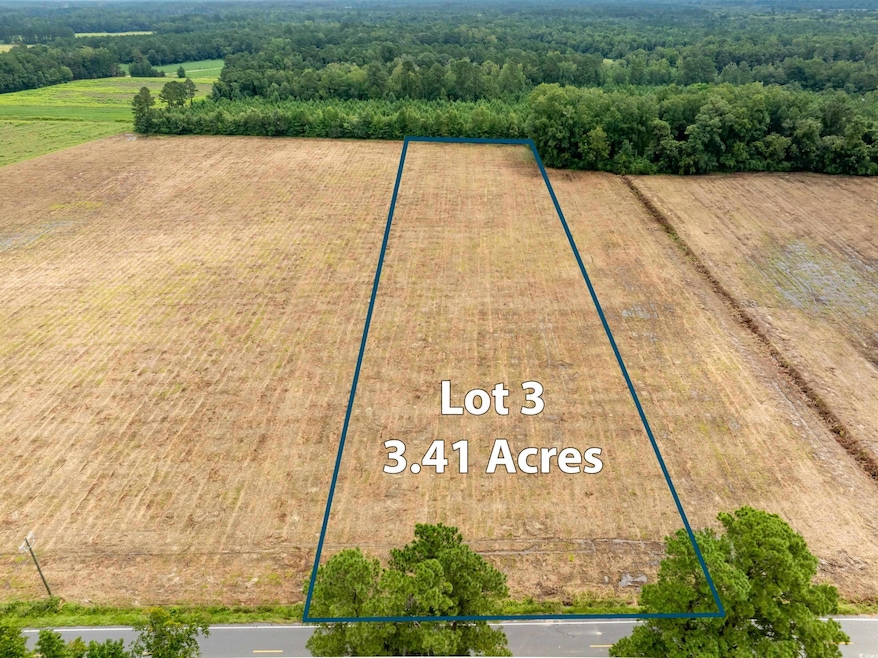 TBD Lot B3 Mount Olive Church Rd, Nichols, SC 29581 - photo 1