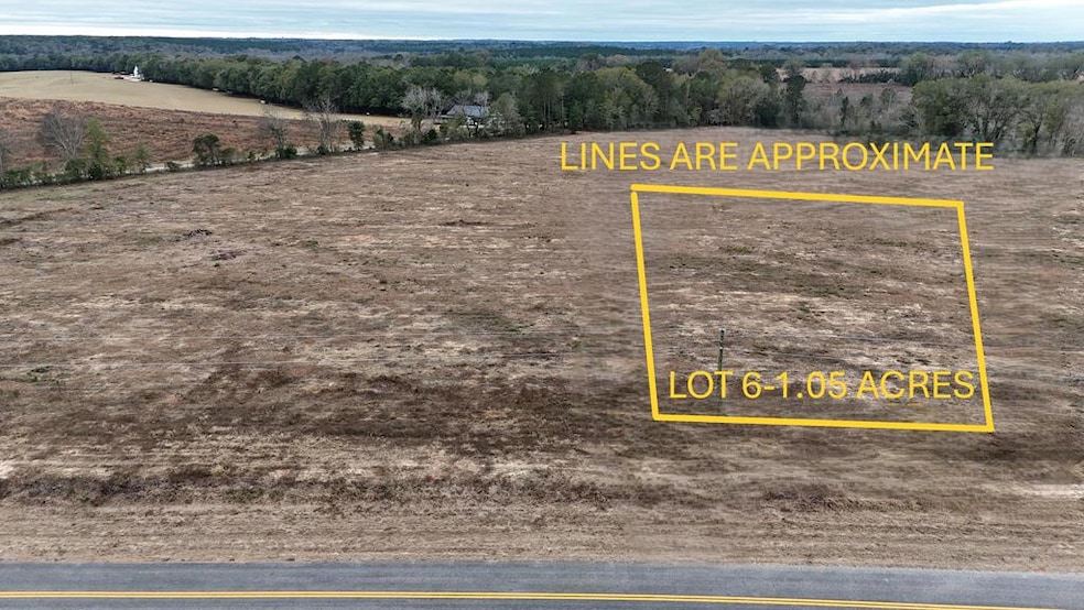 Lot 6 County Road 17, Headland, AL 36345 - photo 1