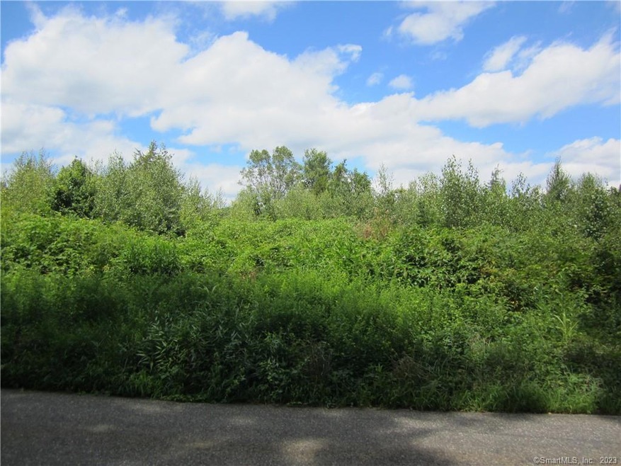 49 Szegda Rd, Columbia, CT 06237 - photo 1