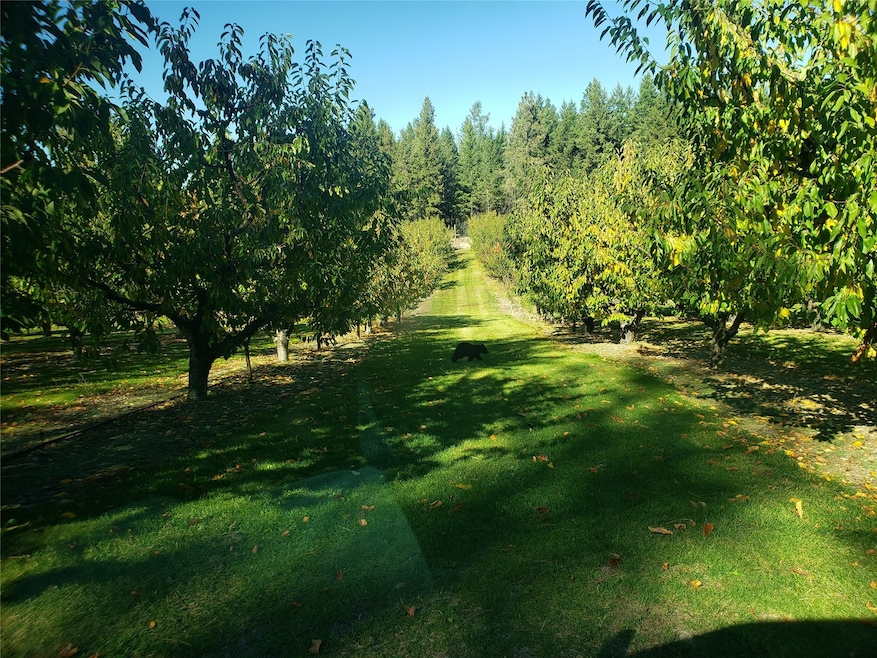 32624 S Finley Point Rd, Polson, MT 59860 - photo 1