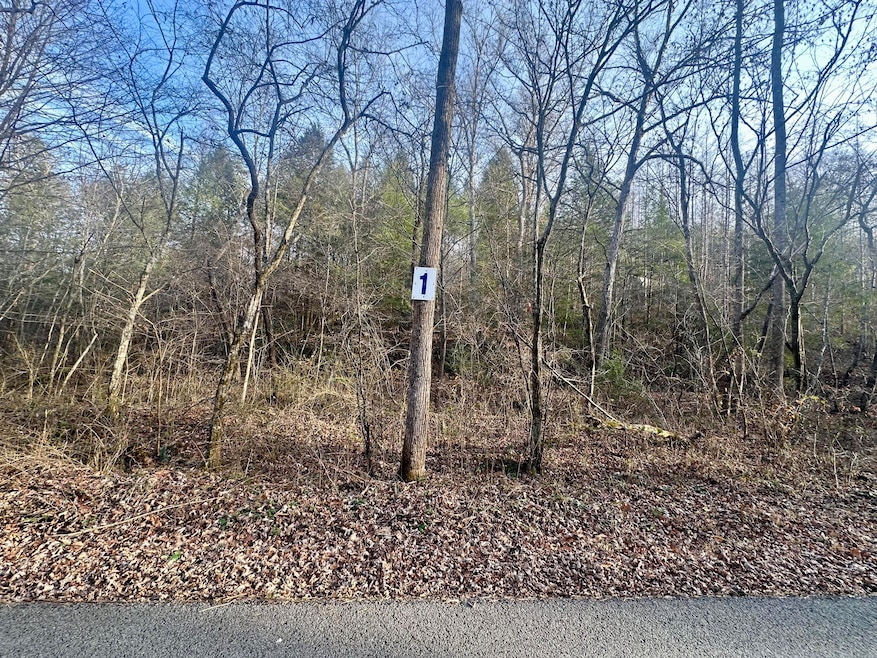 Lot 1 Radford Rd, East Bernstadt, KY 40729 - photo 1