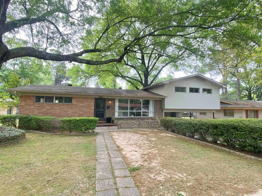 1203 Colorado St, Texarkana, TX 75503 - photo 1