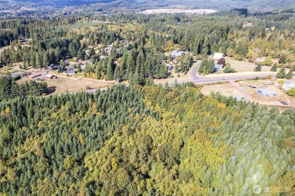 0 Lots 1-7 Spirit Lake Hwy, Castle Rock, WA 98611 - photo 1