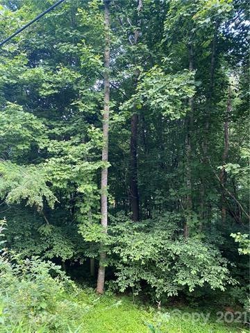 TBD Leisure Ln unit 33, Burnsville, NC 28714 - photo 1