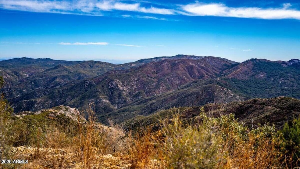 20251111072857546290000000-o