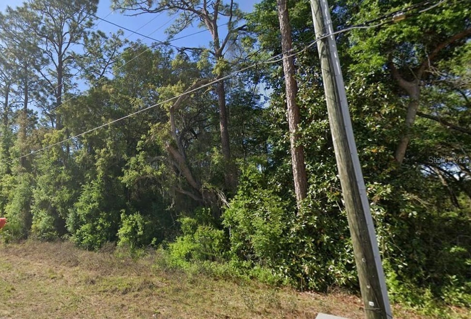 0 SE 17th St unit MFRO6363365, Ocklawaha, FL 32179 - photo 1