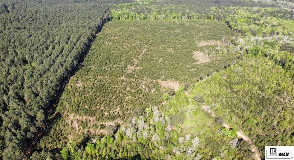 000 Anadarco Rd, Eros, LA 71238 - photo 1