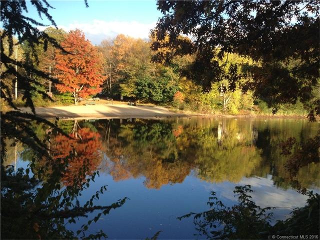 Enjoy beautiful fall foliage - View from your back