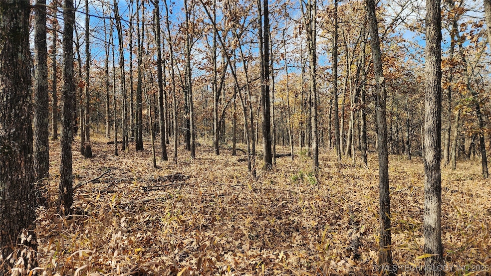 427640 E 290 Rd, Chelsea, OK 74016 - photo 1