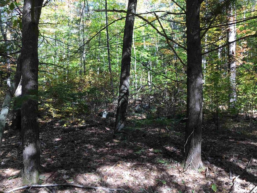 00 Loon Lake Rd, Plymouth, NH 03264 - photo 1