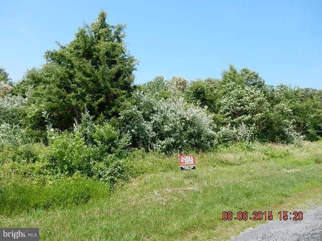 0 Pyles Dr unit 1000479481, Chestertown, MD 21620 - photo 1