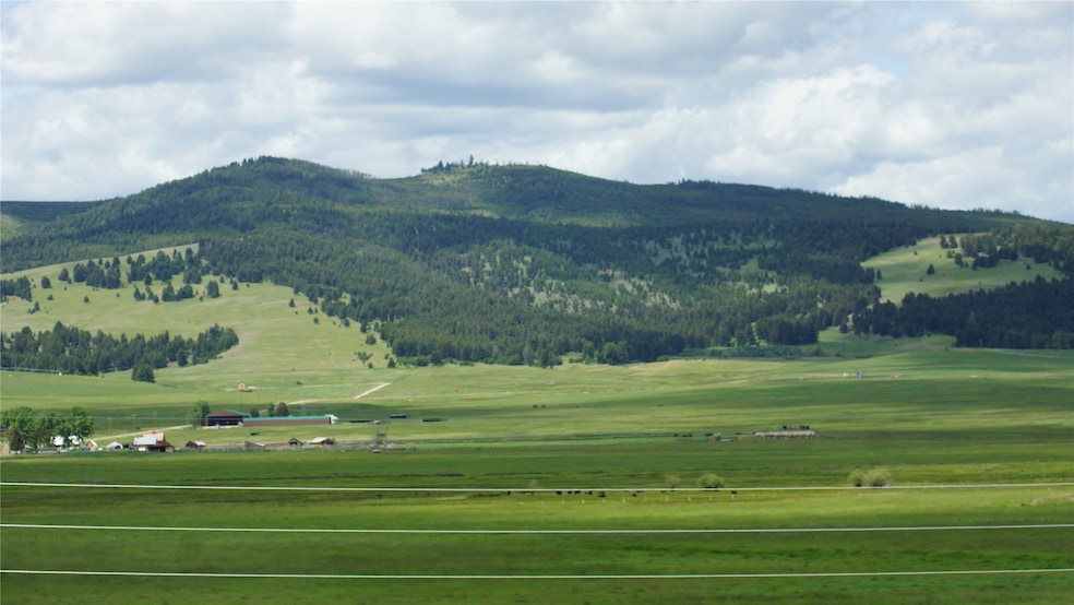 Tract 2 Whiskey Flats, Philipsburg, MT 59858 - photo 1