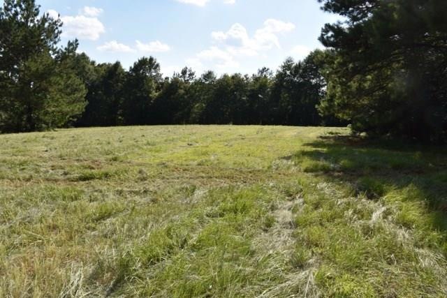 30228 Woodrow Magee Rd, Franklinton, LA 70438 - photo 1