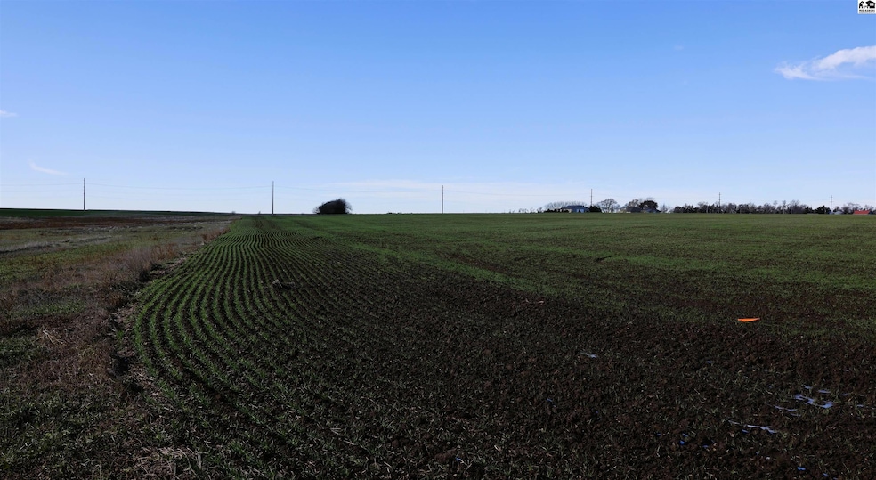 00000 Cherokee Rd, Inman, KS 67546 - photo 1