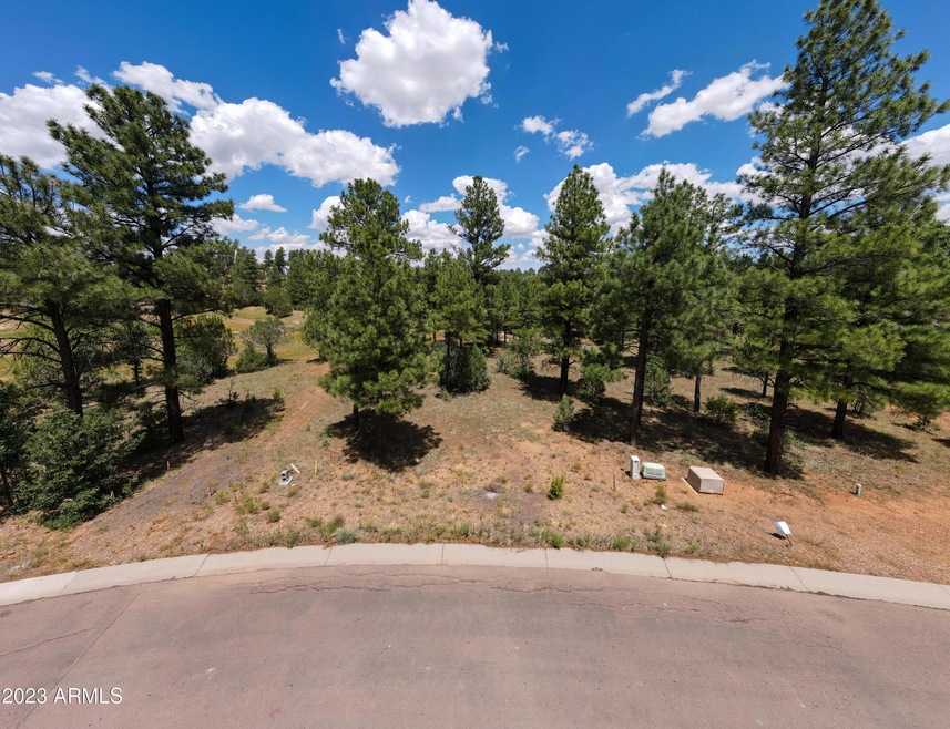 240 Summerberry Dr unit 24, Show Low, AZ 85901 - photo 1