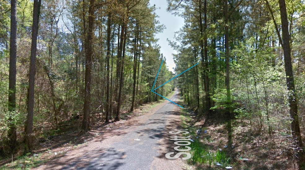 Scott St, Brandon, MS 39042 - photo 1