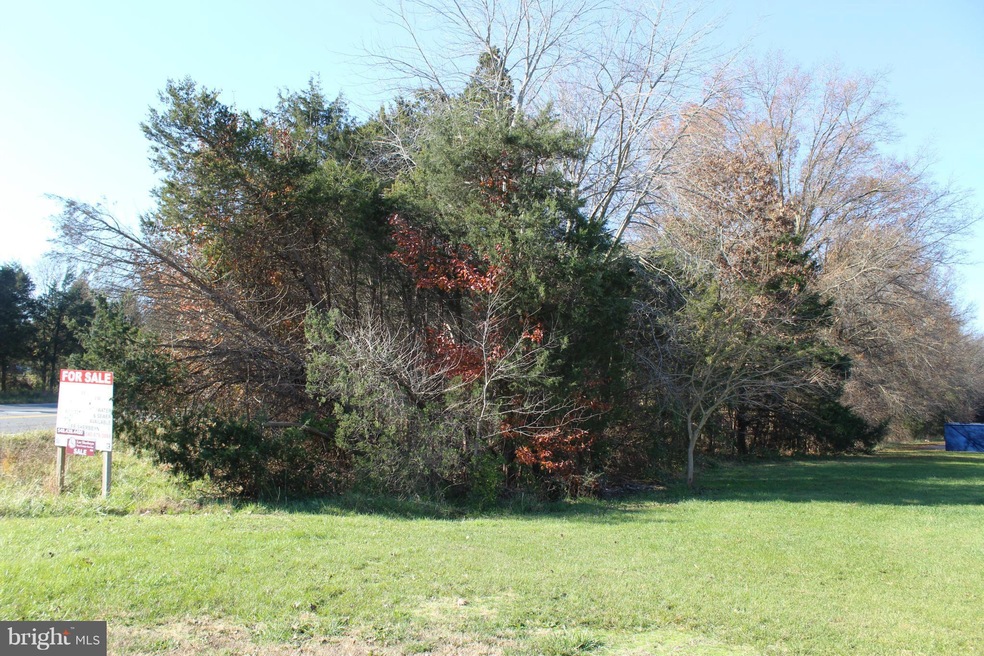 0 Oak Shade Rd unit 1002798916, Bealeton, VA 22712 - photo 1