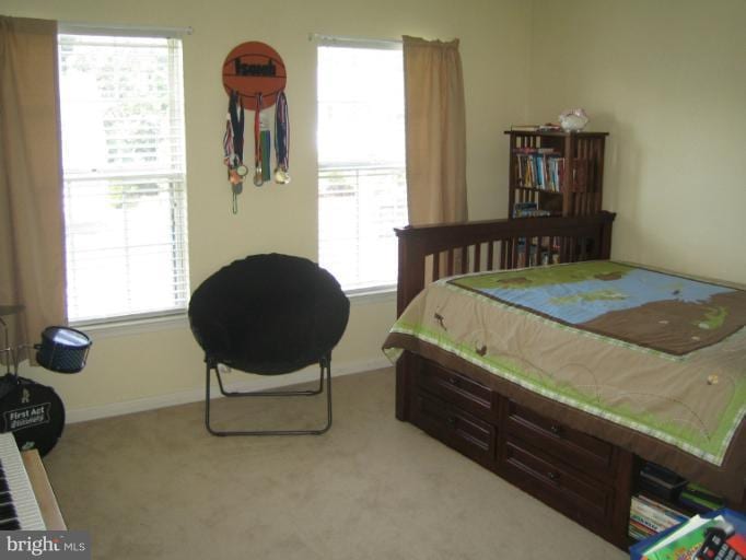 13231 Sapphire Ridge Place, Bristow, VA 20136 - photo 1