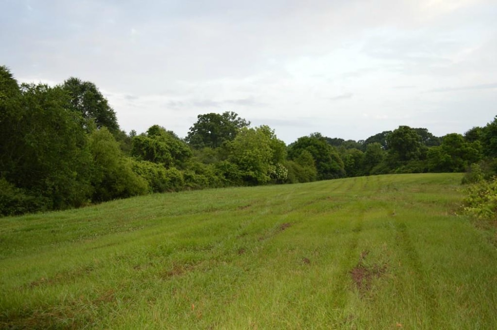 0 J W Taylor Rd, Franklinton, LA 70438 - photo 1