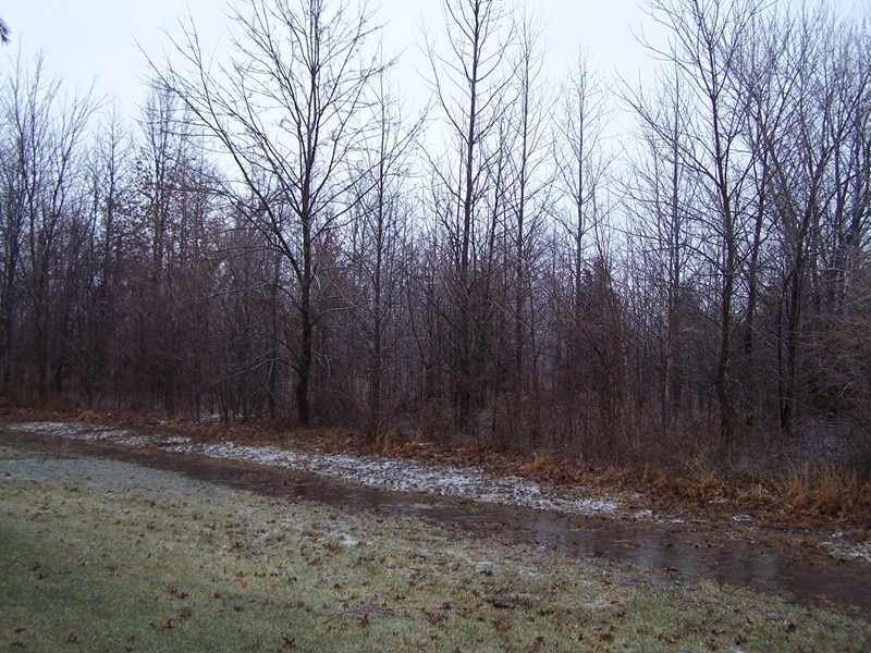 0000 Adams Dr, Marion, IL 62959 - photo 1