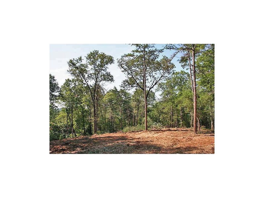 Cleared home site on the property