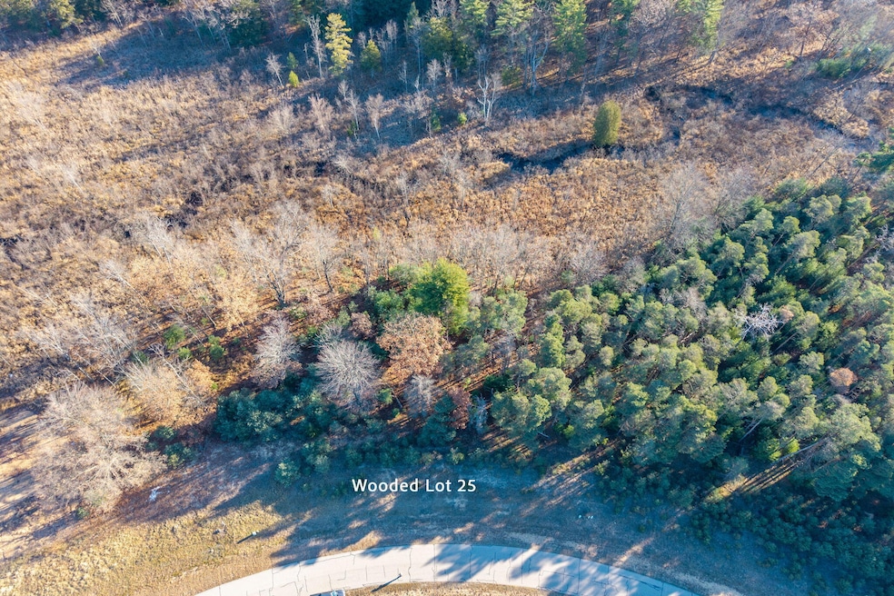 11250 Killarney Dr, Canadian Lakes, MI 49346 - photo 1