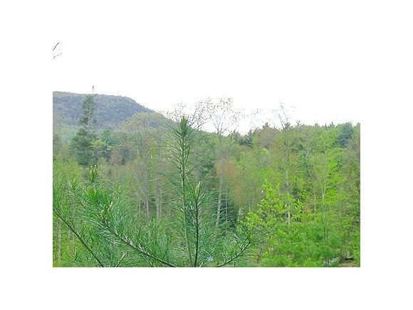 L01 Timber Ln, Littleton, NH 03561 - photo 1