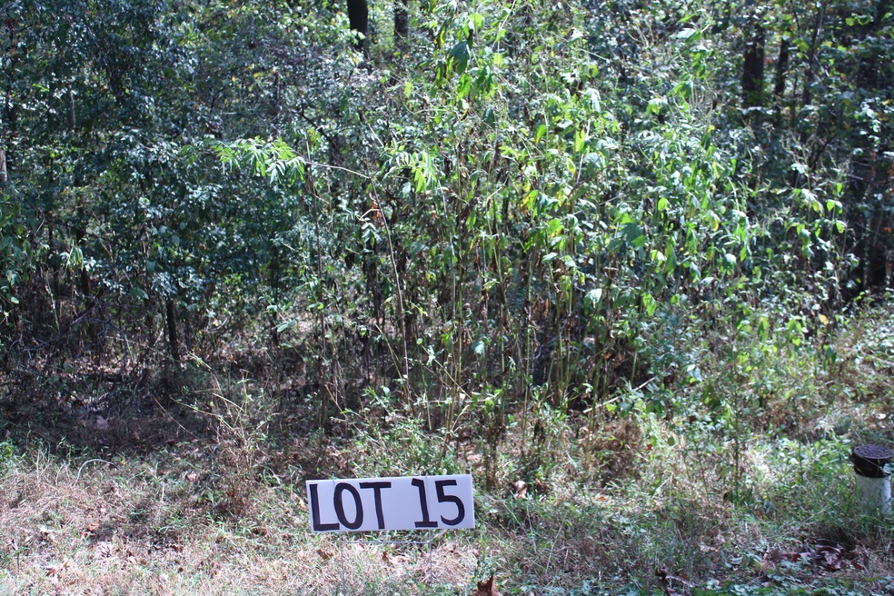 Lot 15 Photo