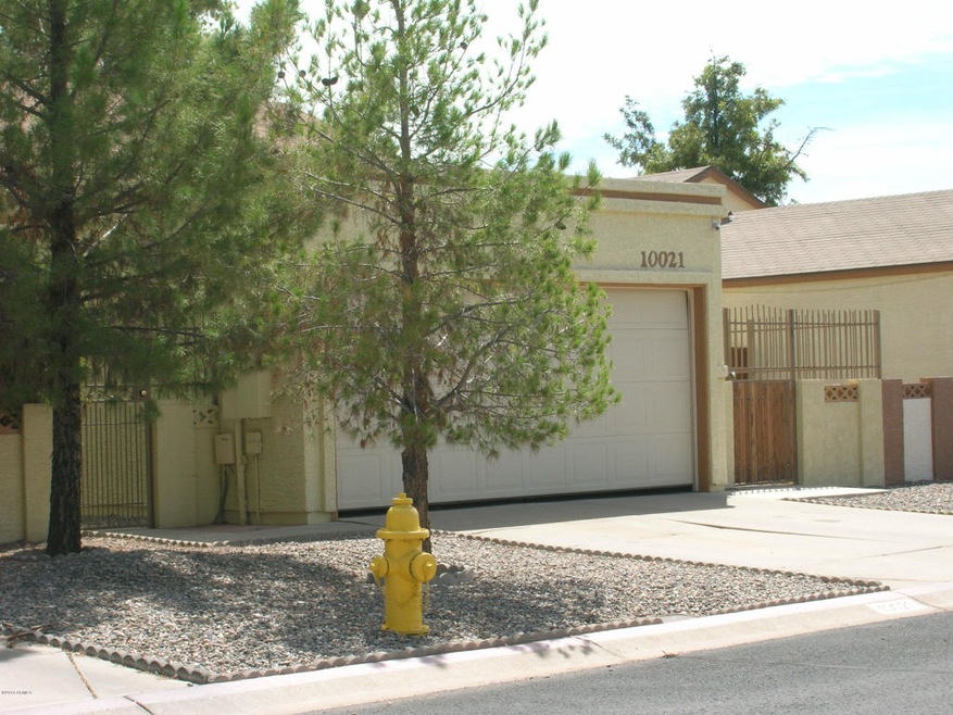 front of house with pine trees