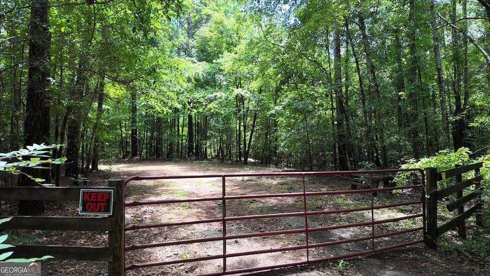 0 Lexington Hwy unit 10565392, Elberton, GA 30635 - photo 1