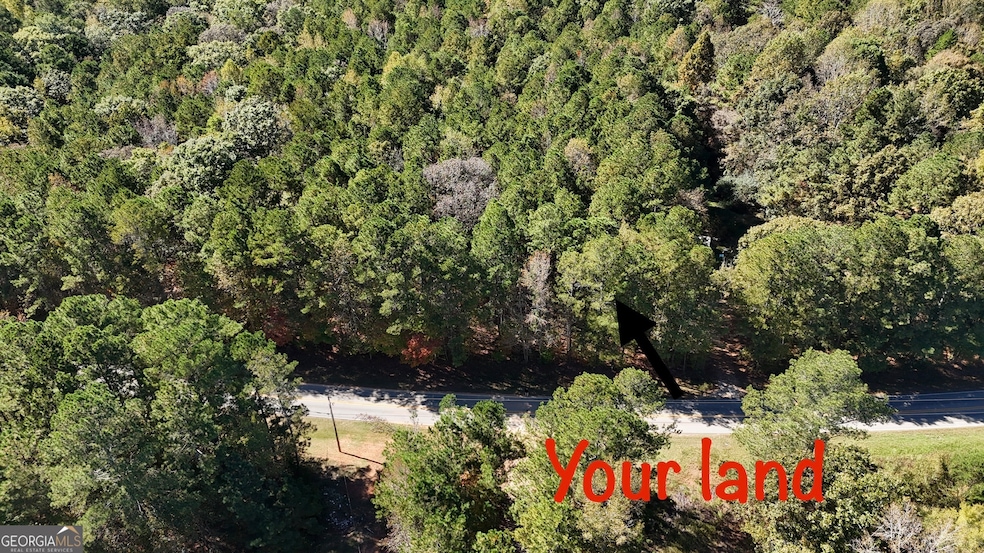 2089 Jones Ferry Rd, Elberton, GA 30635 - photo 1