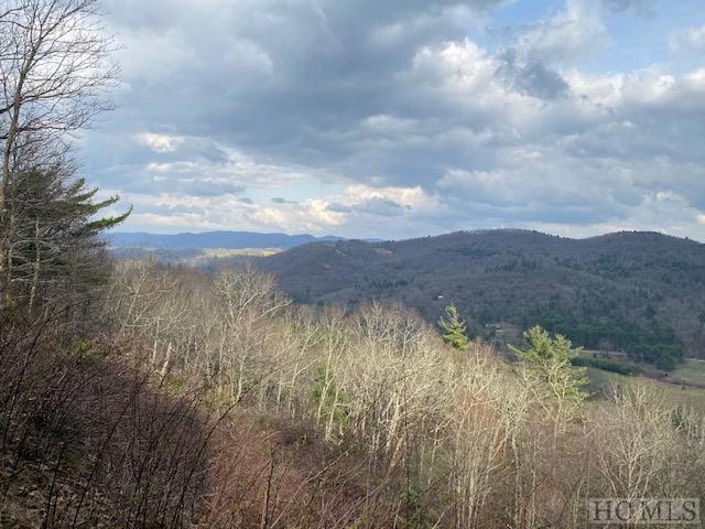 478 Windy Gap Rd, Cullowhee, NC 28723 - photo 1