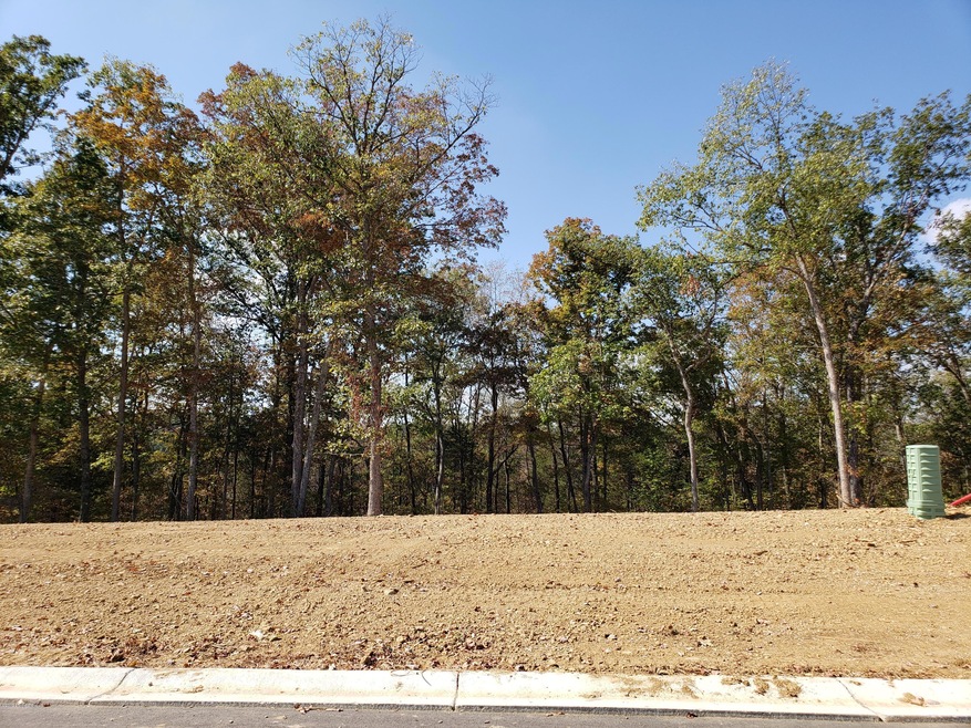 39 Kilner Goodlet Ct, Mount Washington, KY 40047 - photo 1