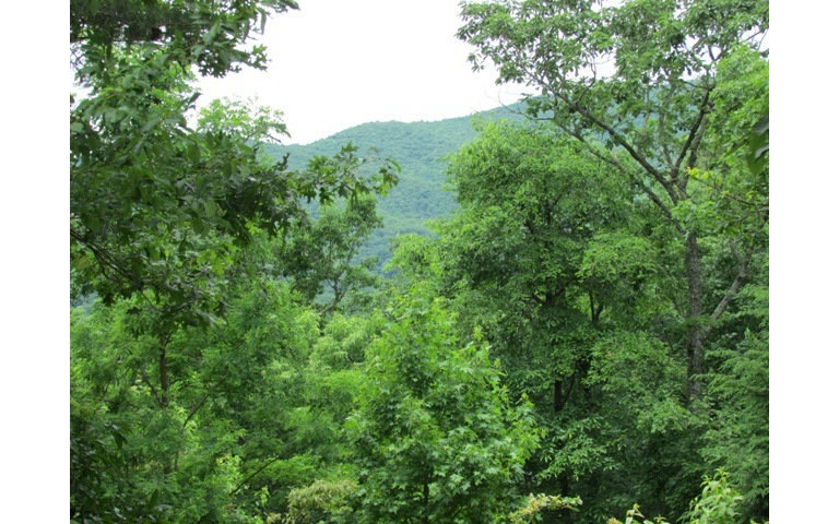 Main View