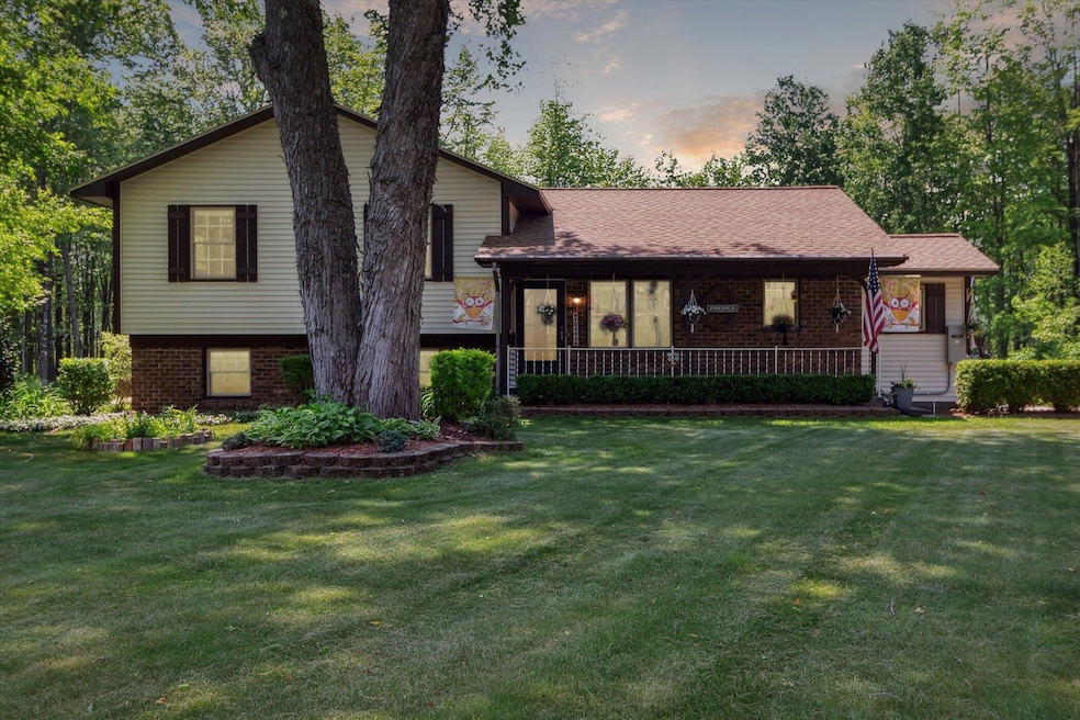 01-10343-N-Walnut-Ave-Bitely-MI-49309-Wi
