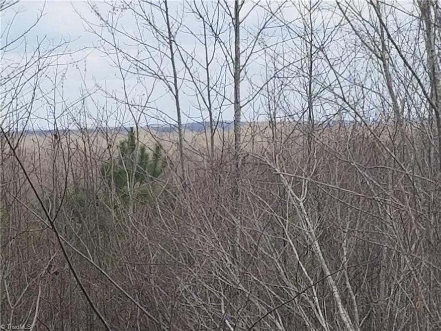 4305 New Hope Church Rd, Asheboro, NC 27205 - photo 1