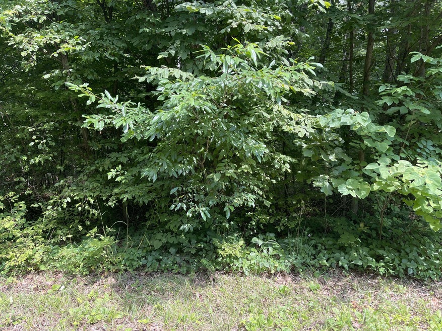 0 Waverly Rd, Tennessee Ridge, TN 37178 - photo 1