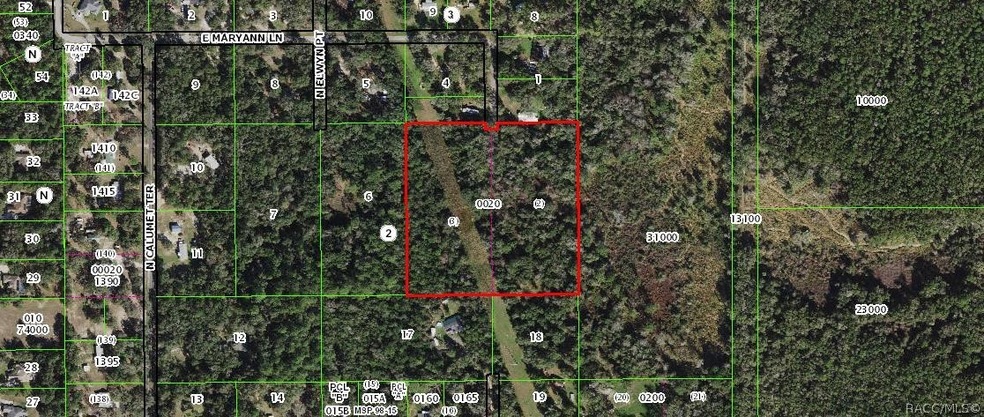 2221 E Maryann Ln, Hernando, FL 34442 - photo 1