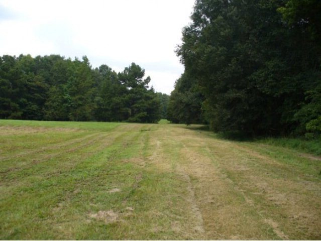 0 Cr 915 Lot 3, Nacogdoches, TX 75964 - photo 1