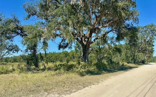 0 NE 35th Ave unit 129202, Bronson, FL 32621 - photo 1