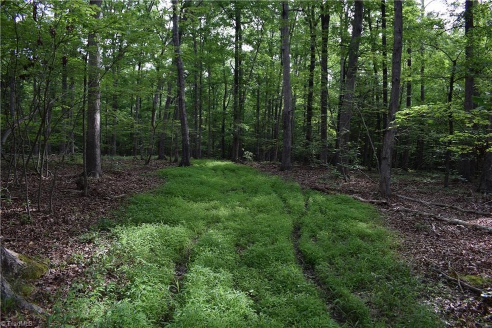 0 N Nc Highway 109 unit 932612, Troy, NC 27371 - photo 1