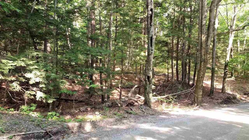 89 Snow Rd unit Lots 7 & 8, Dover, VT 05341 - photo 1